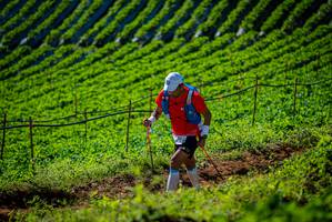 BIB: 
                            <button type="button" onclick="openModal(19160981)" class="btn btn-primary btn-sm float-right btn-popup" data-toggle="modal" data-target=".modal-high-quality">
                        <i class="fas fa-shopping-cart"></i> Add to Cart
                    </button>
                                            <button type="button" onclick="isThisMe(19160981, true)" class="btn btn-success btn-sm float-right btn-popup btn-isme hidden" data-toggle="tooltip" data-placement="bottom" title="นี่คือรูปของคุณใช่ไหม คลิกที่นี่เพื่อเอาเข้าอัลบั้ม">
                        <i class="fas fa-plus"></i> Add to album
                    </button>
                    <button type="button" onclick="isThisMe(19160981, false)" class="btn btn-warning btn-sm float-right btn-popup btn-isnotme hidden">
                        <i class="fas fa-ban"></i> Remove from album
                    </button>